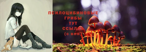 стафф Алексин