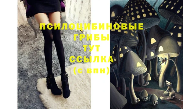 дурь Абинск