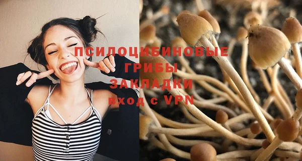 a pvp Абдулино