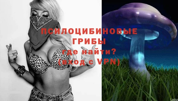 mix Абаза